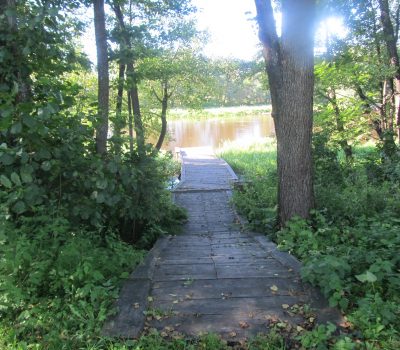 Изображения баннера