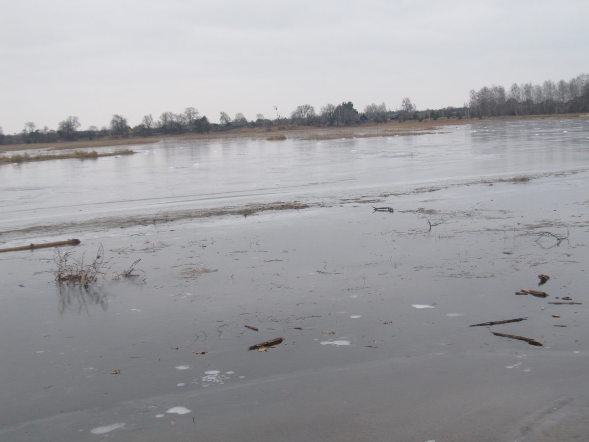 Заказник зимой