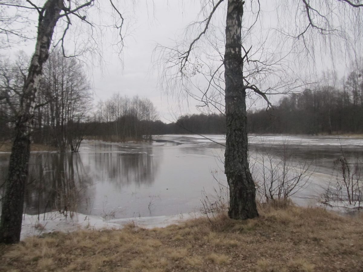 Заказник зимой