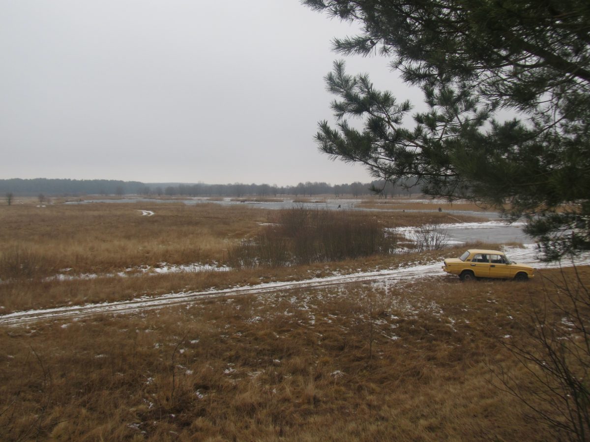 Заказник зимой