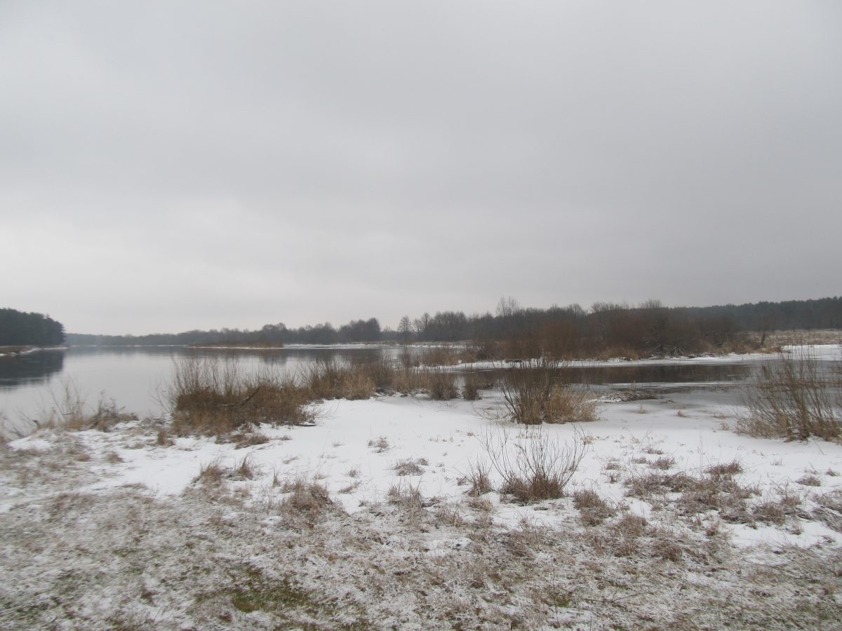 Заказник зимой