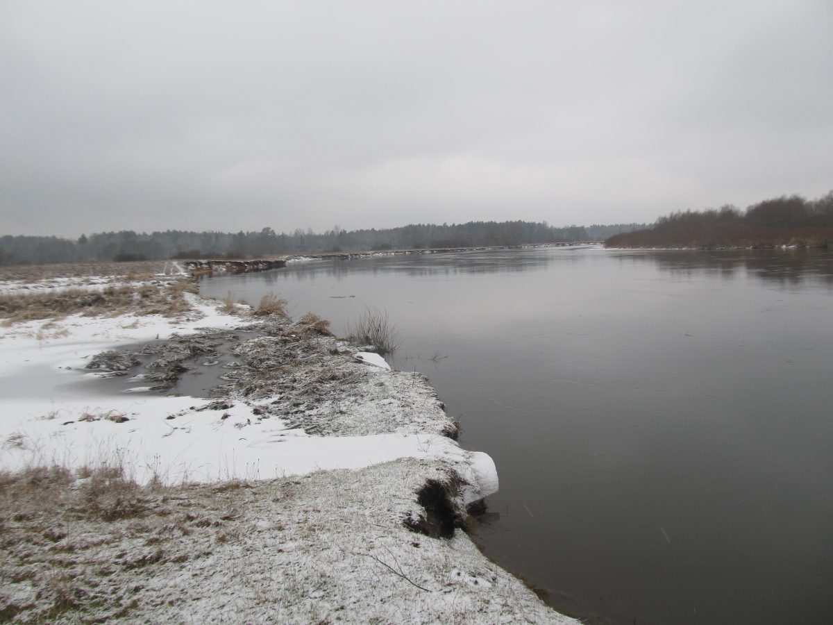 Заказник зимой