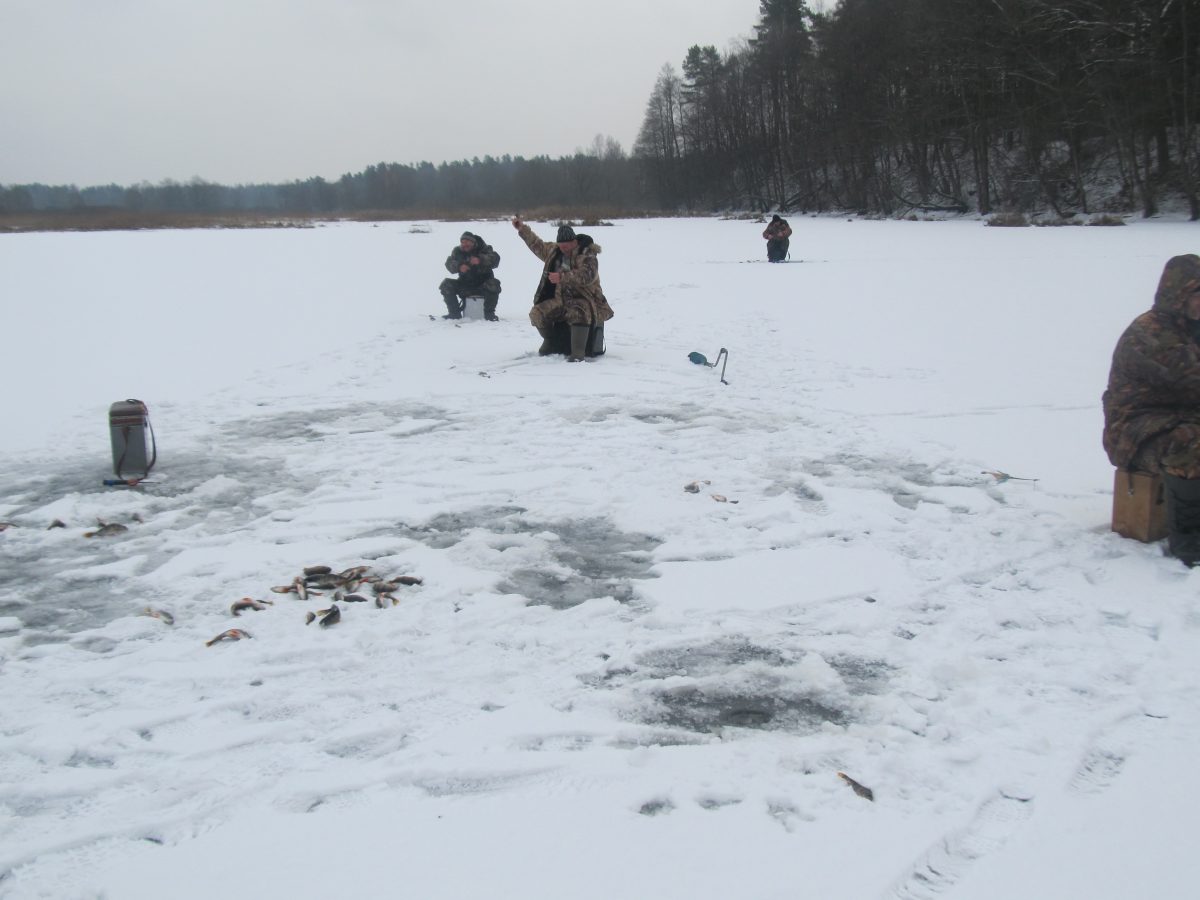 Заказник зимой
