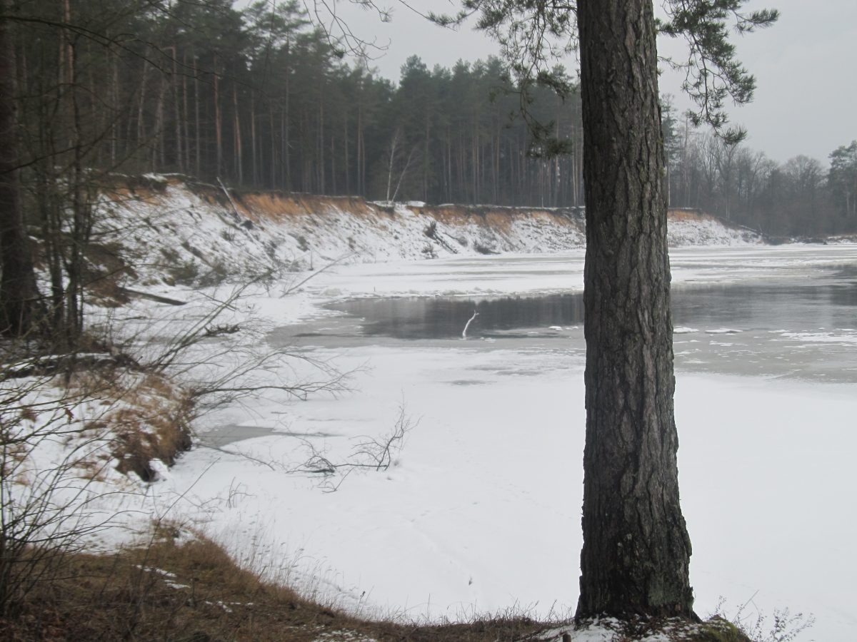 Заказник зимой