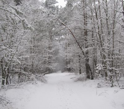 Изображения баннера