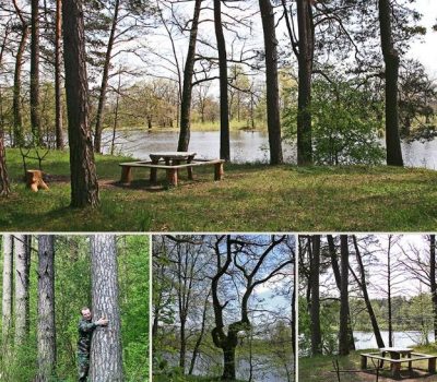 Изображения баннера