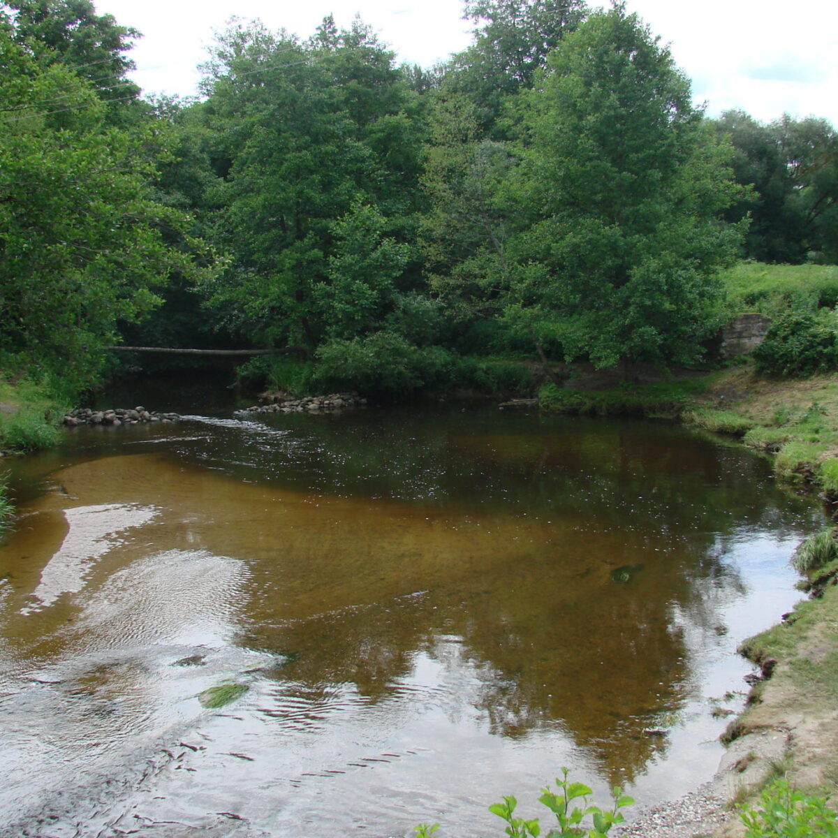 Сплавы на лодках, байдарках
