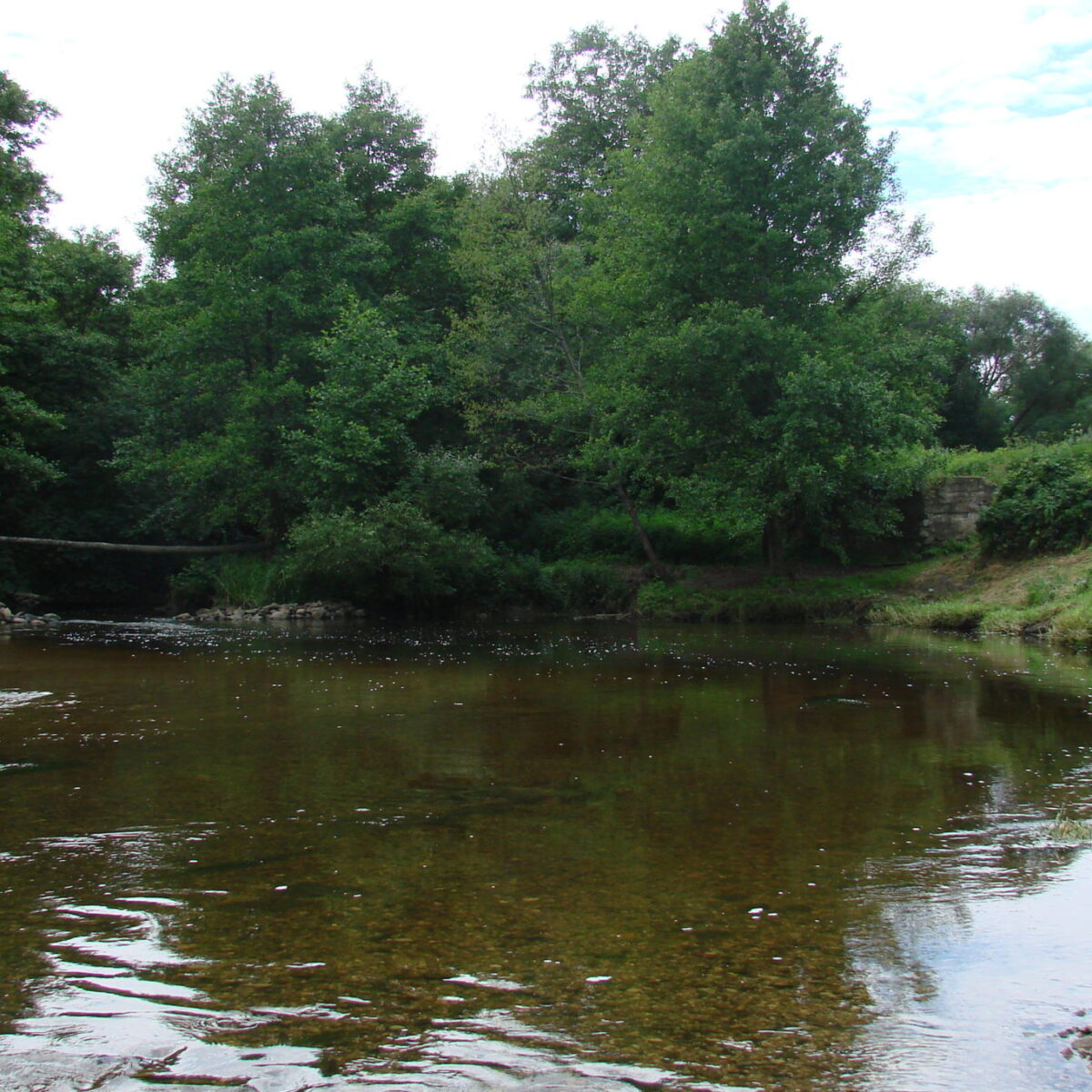 Сплавы на лодках, байдарках