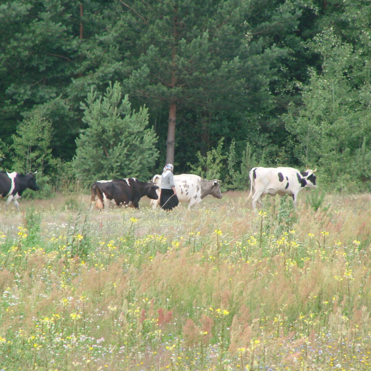 Сплавы на лодках, байдарках