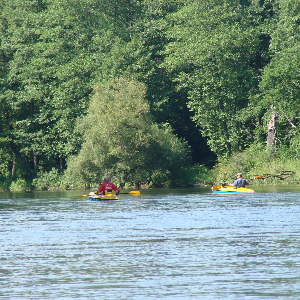 Сплавы на лодках, байдарках