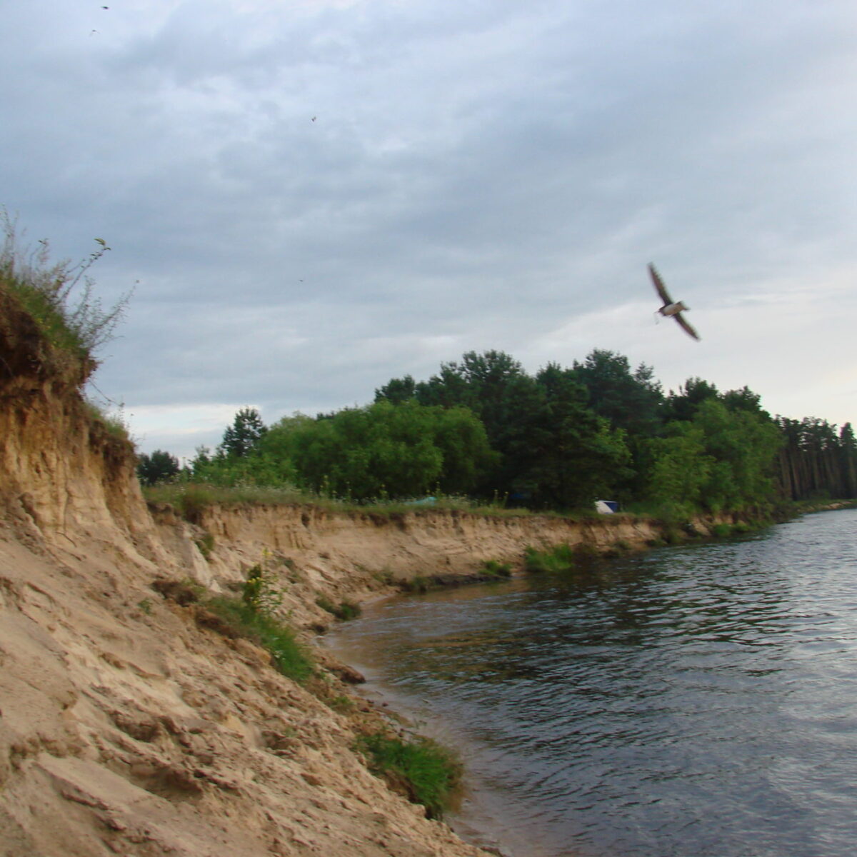Сплавы на лодках, байдарках