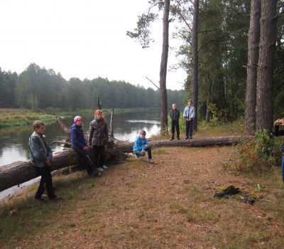 Изображения баннера